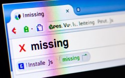Vue安装过程中出现missing错误排查指南