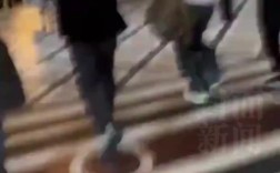 卢浮宫窃贼作案视频曝光，法媒揭秘神秘盗窃过程