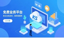揭秘KS免费业务平台低价背后的秘密
