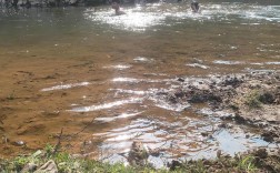 河边视频剪辑技巧，打造视觉盛宴的秘籍