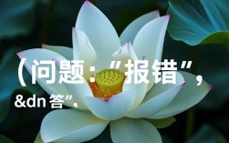 DN报错快速排查与解决指南