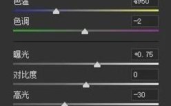 轻松掌握，视频大脸特效制作技巧