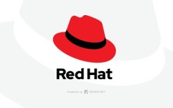 如何使用Red Hat Yum在CentOS上进行软件管理？