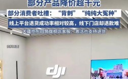 大疆回应，多款产品突降价引发消费者不满