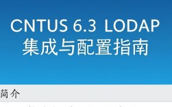 CentOS 6.3环境下，如何有效配置和使用LDAP服务？