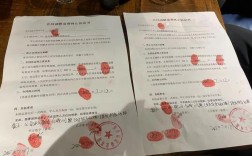 闪婚陷阱，男子30万彩礼换来人财两空惨剧