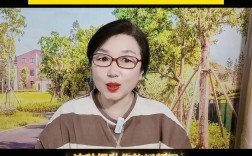 字幕慢动作视频制作指南