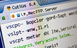 在CentOS 6.4系统上搭建vsFTP服务器的详细步骤