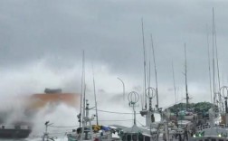 桦加沙登陆现场，惊涛骇浪风雷激荡