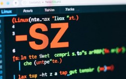 如何快速解决SZ报错？实用方法与专业建议