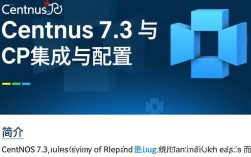 CentOS 7.3环境下，Ceph存储集群配置遇到哪些常见疑问与难题？