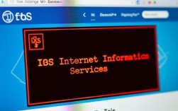 iis报错导致页面跳转，究竟是什么原因导致的呢？