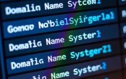 如何快速查看您的DNS设置？