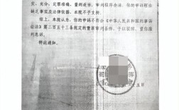 局长免职评论者拘役处罚撤销引发关注
