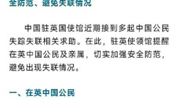 驻英使馆紧急提醒，中国公民在英国需加强安全防范措施