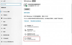 如何取消Windows系统的自动更新功能？