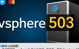 VMware vSphere 5.0出现503错误的原因是什么？如何解决？