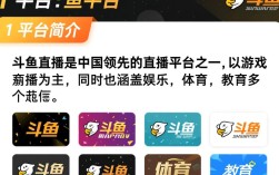 如何从零开始，一步步成为人气斗鱼主播？揭秘成功秘诀！