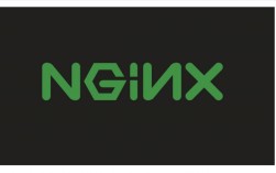 如何在CentOS上使用YUM安装Nginx？