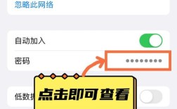 如何查看手机连接的WiFi密码？