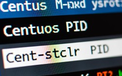 CentOS环境下如何高效查询特定进程的PID及其详细信息？