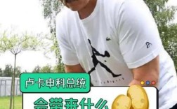 白俄罗斯总统卢卡申科计划携土豆访问中国