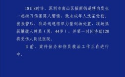 新闻系统为何报错？探究其背后的原因与解决方案