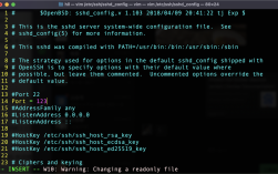 CentOS SSH端口修改后防火墙配置问题及云控制台应急处理记录