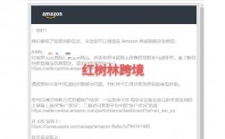 报错详情，这篇文章揭示了哪些关键错误信息？