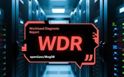 解决WDR错误指南，快速排查与修复策略