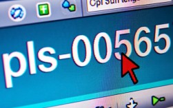 pls-00565报错究竟是什么原因导致的，该如何解决？