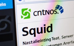 如何在CentOS系统上成功安装和配置Squid代理服务器？