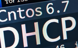在 CentOS 6.7 上配置 DHCP 服务器的指南
