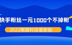 一元真的能买到一千个快手粉丝吗？