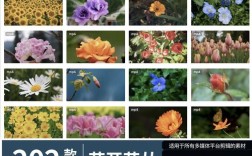 如何剪辑绽放花开效果的视频？剪映/PR教程步骤详解
