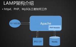 如何在CentOS上成功搭建LAMP环境？