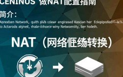 CentOS配置NAT时遇到哪些常见问题及解决方法？