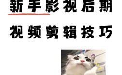 高效剪辑技巧揭秘，如何让下次视频剪辑更快捷？