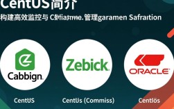 CentOS Zabbix Oracle三者如何实现高效整合与监控？