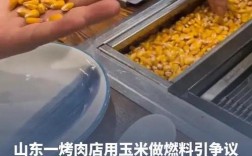 玉米燃料烤肉引发环保争议
