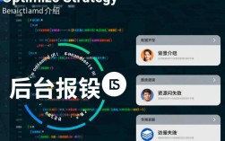 前端显示后台错误信息解决方案