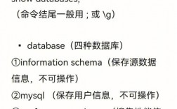 如何在CentOS系统中使用MySQL命令进行数据库管理？