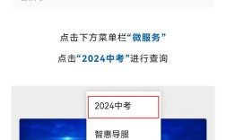 如何查询学考成绩？一文教你轻松获取！