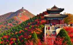 香山红叶变色延缓之谜揭晓