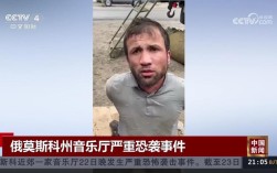 莫斯科音乐厅恐袭案部分嫌犯认罪