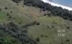 中国女子海外购岛热潮，再购小岛梦想成真