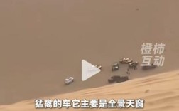 沙漠越野悲剧，50万粉丝博主翻车离世引发关注