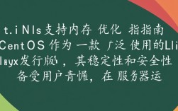 CentOS系统是否完全支持所有类型的高容量内存扩展？