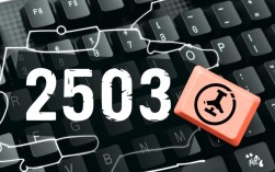 如何高效解决2503报错问题？