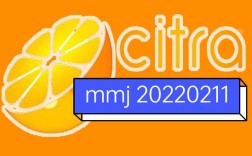 Citra报错，如何有效解决并避免再次发生？